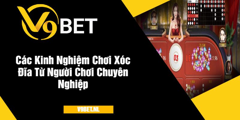 Các Kinh Nghiệm Chơi Xóc Đĩa Từ Người Chơi Chuyên Nghiệp