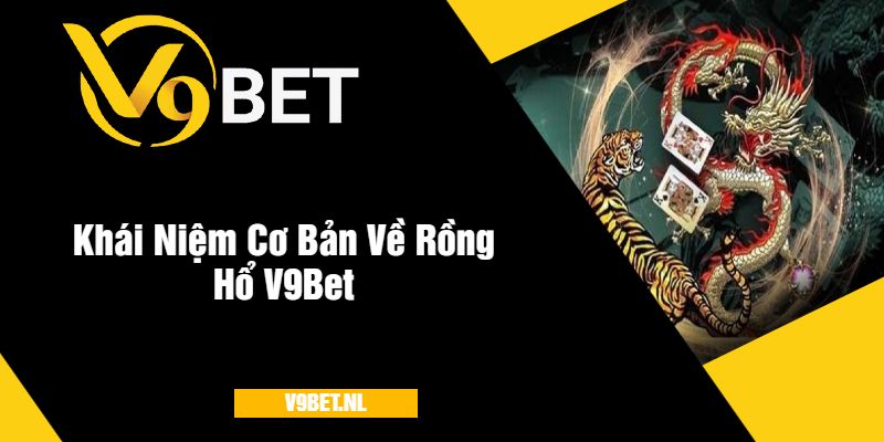 Khái Niệm Cơ Bản Về Rồng Hổ V9Bet